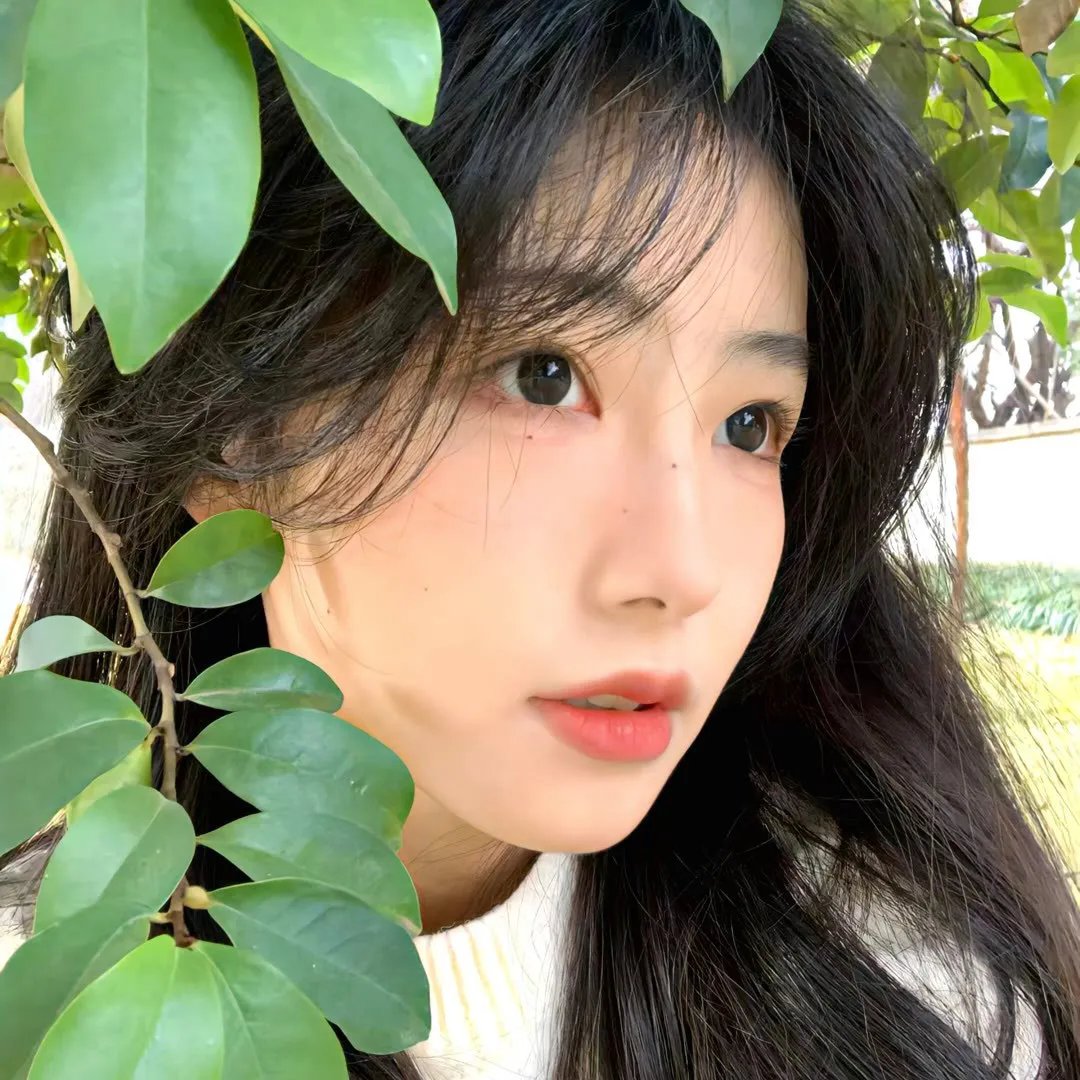 小熊的夏天